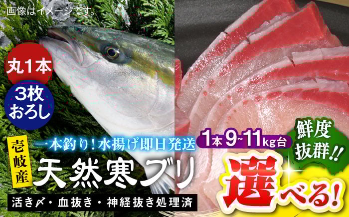 
            【選べるサイズ＆種類】 壱岐島産天然寒ブリ（丸もの/3枚おろし） 《壱岐市》【壱岐島　玄海屋】[JBS027]  ぶり 寒ぶり ブリ 魚 刺身 しゃぶしゃぶ
          