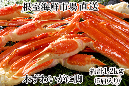 ボイル本ずわいがに脚5肩(計約1.2kg) A-14261
