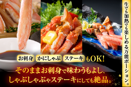 生食用本ズワイガニ爪下棒肉ポーション1.3kg B-11084【12月13日決済分まで年内配送】