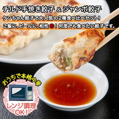 ふるさと納税 南魚沼市 新潟県 南魚沼市 チルド手焼き餃子・ジャンボ餃子 食べ比べ セット 計42個 ケンちゃん餃子 |  | 01