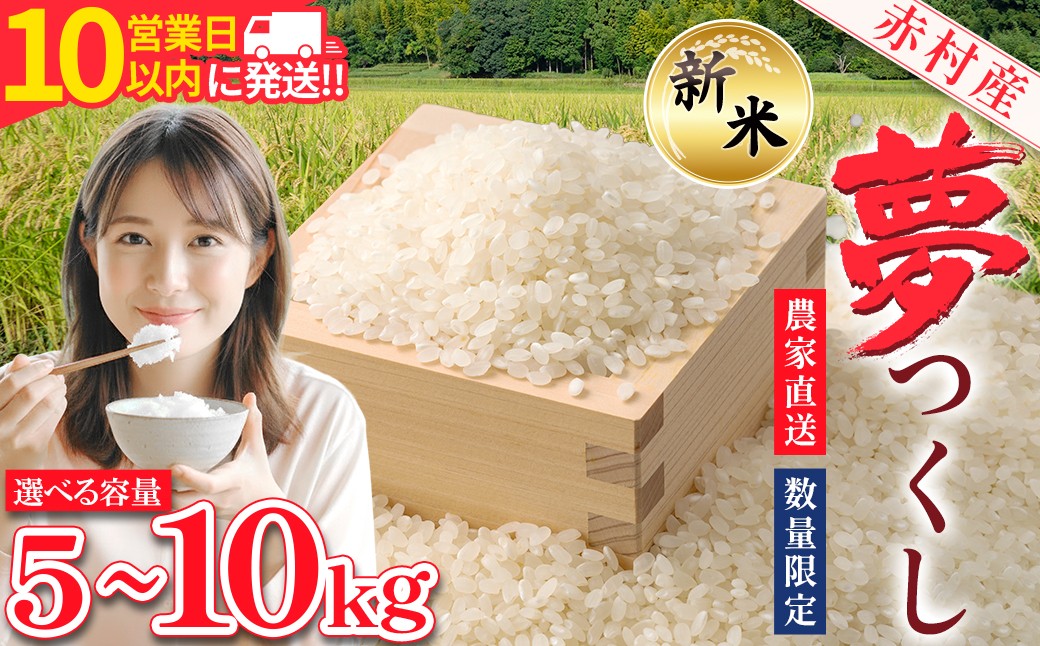 
                  【10営業日以内に発送】赤村産米 農家直送 【数量限定】 精米 夢つくし 5kg～10kg (品番:4U1-S2～4U2-S1-oya) 
                