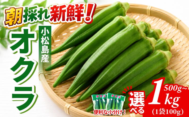 
                  【6月下旬から発送】オクラ 500g/1kg 新鮮 朝採れ 選べる 容量 おくら 小分け 朝どれ 野菜 夏 夏野菜 旬 サラダ 冷蔵 農地直送 国産 小松島市 
                