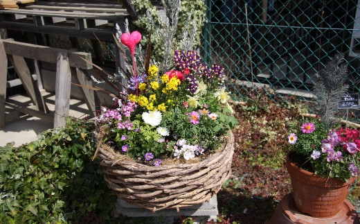 季節の花の寄せ植え 38㎝【005B-002】