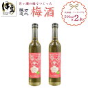 【ふるさと納税】 梅酒 500ml×2本セット (化粧箱・ラッピング込) / 伊豆 月ヶ瀬 ウメシュ 梅 うめ ウメ 果実酒 リキュール 酒 お酒 地酒 洋酒 瓶 お取り寄せ 国産 贈り物 ギフト 静岡県 伊豆市 [010-016]