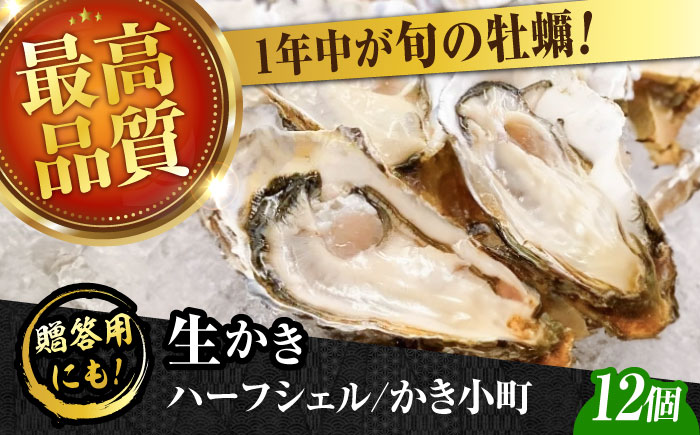 広島牡蠣の老舗！安心・安全の新鮮牡蠣【生牡蠣】牡蠣 かき 殻付き 開殻 夏のかき ハーフシェル『かき小町』12個入 生食用 魚介類 海鮮 広島県産 江田島市/株式会社かなわ [XBP013]