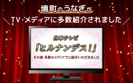 K2351【定期便/3か月連続お届け】 国産 上うなぎ 蒲焼き 4尾 (700g以上) 簡易袋 タレ 山椒付き