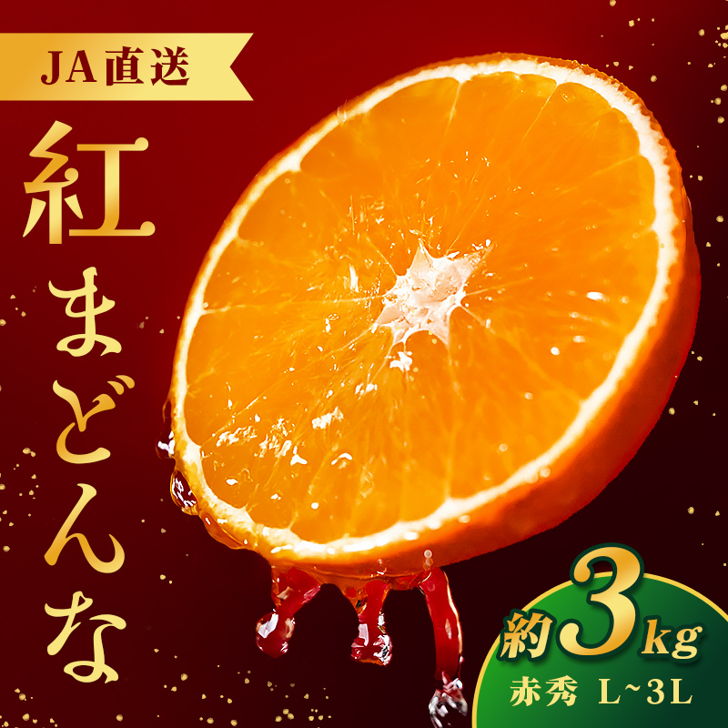 【JA特選品】 紅まどんな ( 赤秀 L~3L 約3kg ) 化粧箱入り 【2026年11月下旬頃から順次発送】 | JA直送 紅マドンナ まどんな 愛果28号 アイカ みかん ミカン 愛媛みかん 蜜柑 果物 くだもの フルーツ 高級 贈答 ギフト 贈り物 柑橘 柑橘類 かんきつ 愛媛果試第28号 愛果28号 常温 国産 愛媛 愛媛県 松山市 JAえひめ中央