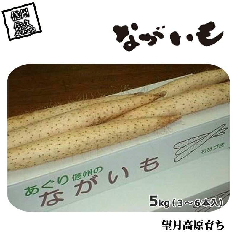 長野県産 ながいも 約5kg 〈2026年12月1日出荷開始～2026年12月25日出荷終了〉| 長芋 長いも 高原野菜 信州佐久 土作りからこだわり 作物本来の美味しさを目指して栽培 長野県 佐久市