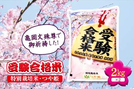 【先行予約】令和6年度産 日本三文殊 亀岡文殊 受験合格米（特別栽培米 つや姫） F2Y-1115