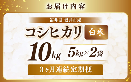 【先行予約】【令和8年産・新米】 定期便 ≪3ヶ月連続お届け≫ 坂井市産 コシヒカリ 白米 10kg (5kg×2袋)×3回 計30kg (アグリ川崎) 【2026年10月以降順次発送予定】 【米 こ