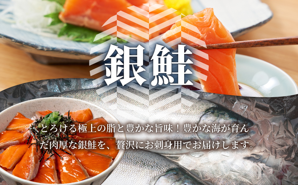 銀鮭の刺身 500g 【ru-0928】 刺身 銀鮭 シャケ サーモン 鮭 魚 魚介類 海鮮 おかず 米 簡単 便利 新鮮 北海道 登別