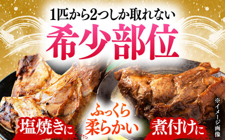 【全12回定期便】対馬産 本マグロ カマ 2kg ≪対馬市≫【桐谷商店】 トロの華 対馬 新鮮 マグロ かま 鮪[WAQ106]