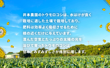 【先行予約】井本農園の朝採れとうもろこし 12本 とうもろこし