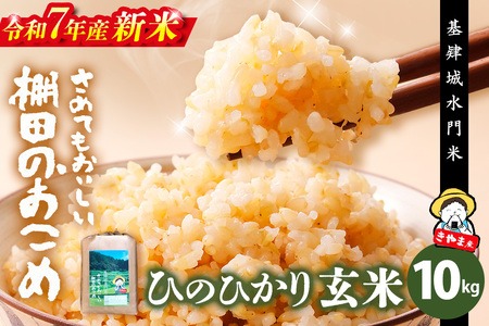 【令和7年産 新米】【基肄城水門米】さめてもおいしい棚田のお米 10kg【ひのひかり 米 玄米 お米 やまつき米 モチモチ 基山町産 棚田米 10kg】K072008