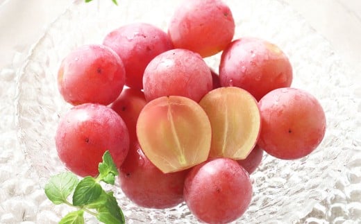 岡山県産 桃太郎ぶどう 1房 ・ クイーンニーナ 1房 （合計約1kg） 【2026年8月上旬～11月上旬まで順次発送予定】 ぶどう ブドウ 葡萄 果物 果実 フルーツ 種なし 大粒 セット 岡山県 倉敷市 冷蔵