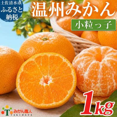 ふるさと納税 土佐清水市 小粒 温州みかん 訳あり 1kg  傷み補償300gあり フルーツ 柑橘 不揃い【R01789】