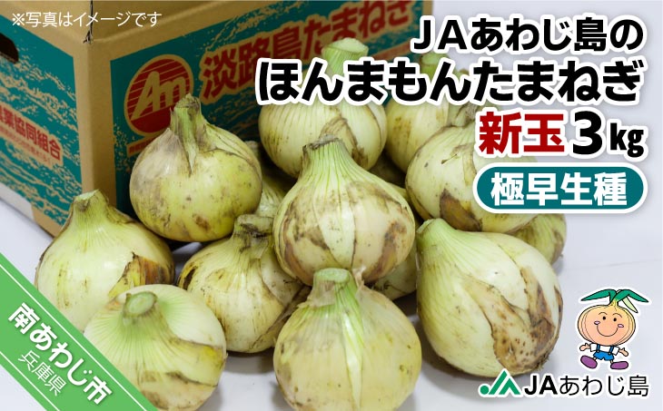 【新玉ねぎ】★発送3月～★ＪＡあわじ島のほんまもんたまねぎ【3kg】極早生種