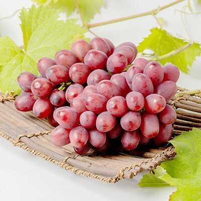 【ふるさと納税】クイーンルージュ(R) 2～3房(約1kg)【配送不可地域：離島・北海道・沖縄県】【1636242】