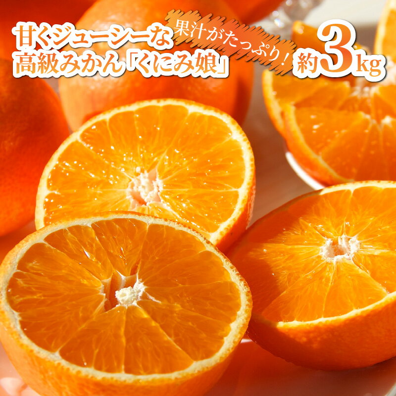 【ふるさと納税】【先行予約】令和7年12月発送開始/甘くジューシーな高級みかん「くにみ娘」約3kg