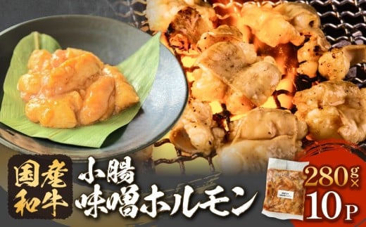黒毛和牛 味噌 ホルモン 10P 味噌ホルモン 牛ホルモン 小腸 国産 宮城県産 味付 モツ 和牛 肉 お肉 牛肉 牛 内臓 宮城県 石巻市