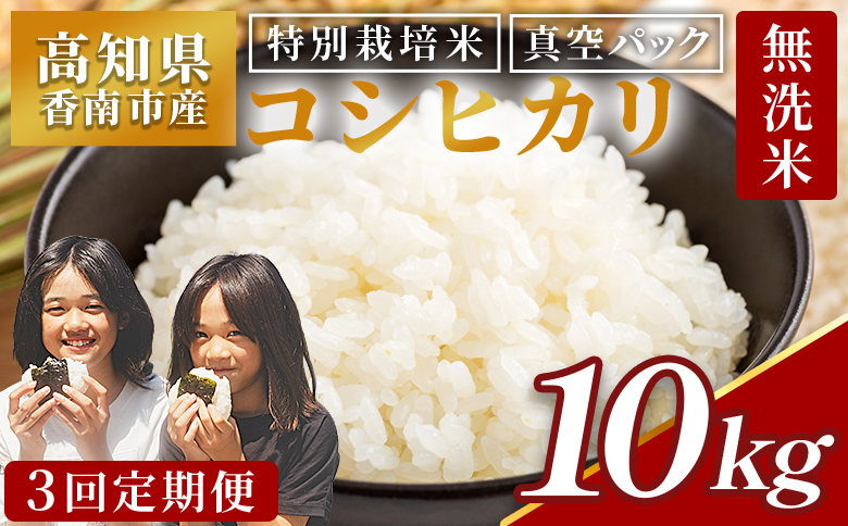 無洗米 定期便  10ｋｇ【3回定期便】令和7年産 高知県香南市産 特別栽培米 コシヒカリ  Wnu-0013
