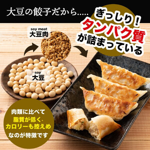 居酒屋監修 ガツンと美味しい ソイプロテイン餃子(30個入×2袋)