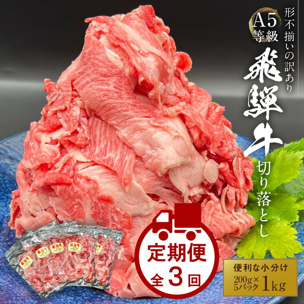 【ふるさと納税】【定期便】 A5等級 飛騨牛 切り落とし 1kg（200g×5パック） 全3回｜小分け 肉 にく 切り落とし 飛騨牛 飛騨高山 岩ト屋 HF115