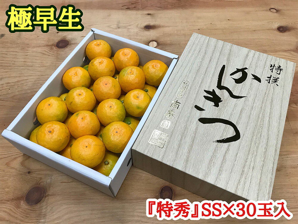 【ふるさと納税】極早生 みかん 有田 化粧箱 小箱 特秀 SSサイズ 約2kg 30玉入 南泰園【ミカン 蜜柑 柑橘 温州みかん 和歌山 有田】