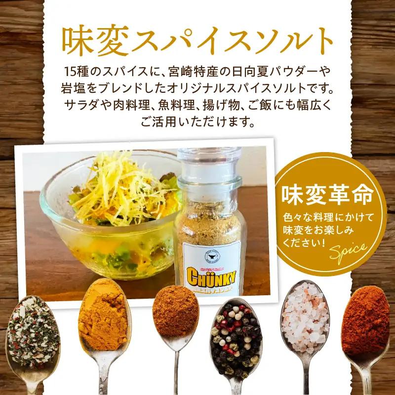 宮崎日南どり骨付きもものスープカレーセット スープカレー スパイスソルト 味変 みやざき地頭鶏 鶏ガラ 香味野菜 牛骨 豚骨 グルテンフリー 宮崎県産銘柄鶏 日南どり モモ肉 日本全国ご当地冷凍食品大