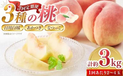 【 3回定期便 】3種の桃が楽しめる！計約3kg 【2026年6月下旬～7月下旬発送予定】 桃 定期便 3回  日川鳳凰 あかつき なつっこ 食べ比べ