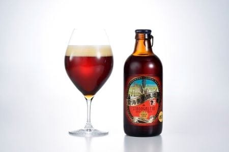 雲海麦酒醸造所 地ビール「ストロングエール10」12本セット　フルーティ　風味　ホップ　程よい苦味　濃厚【雲海酒造】_A0114-069