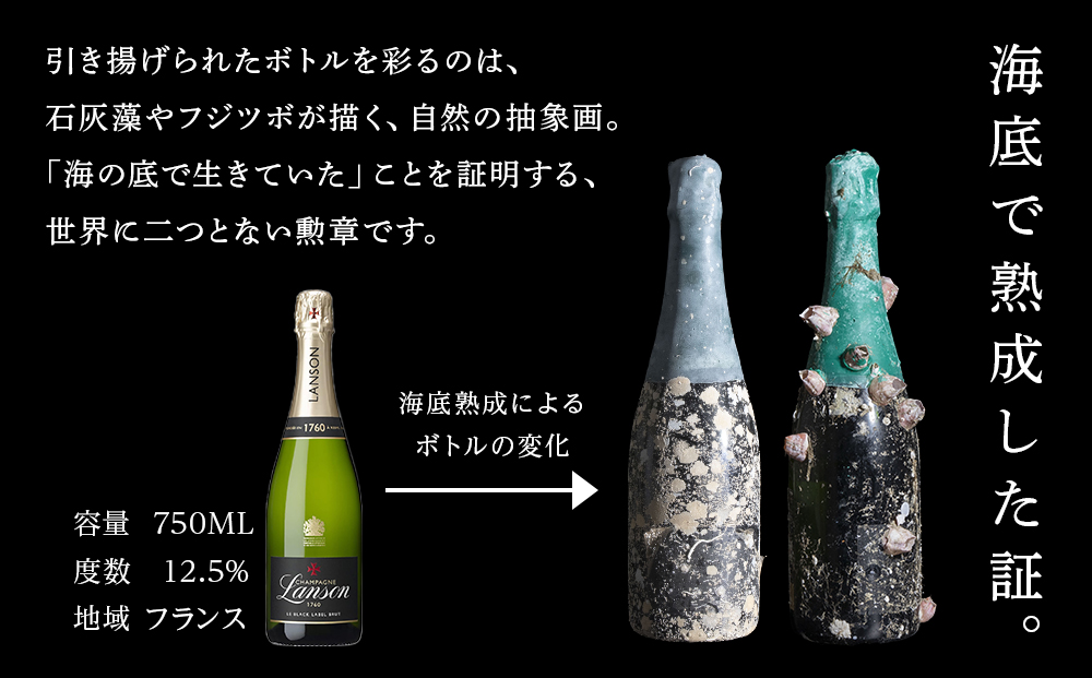 【海底熟成シャンパンE】ランソンブリュット