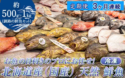 
            【定期便 3ケ月連続】 お魚の目利きのプロにお任せ！北海道産（国産） 天然 鮮魚 約500g～1kg（釧路の鮮魚セット） 鮮魚 刺身 セット 産地直送 定期便 冷凍 冷凍便 魚介類 海鮮 絶品 人気 ヒロセ 北海道 釧路町 釧路超 特産品
          