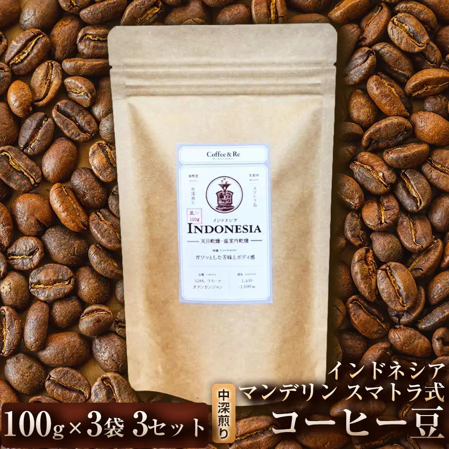 【酸味控えめで深みのある味わい】コーヒー豆　インドネシア マンデリン スマトラ式（中深煎り）100g × 3袋  3セット コーヒー コーヒー豆 珈琲 珈琲豆 中深煎り コーヒー  マンデリン インドネシア 自家焙煎 ブラックコーヒー スペシャルティコーヒー豆 小分け 自宅用 ギフト プレゼント 埼玉県 加須市 
