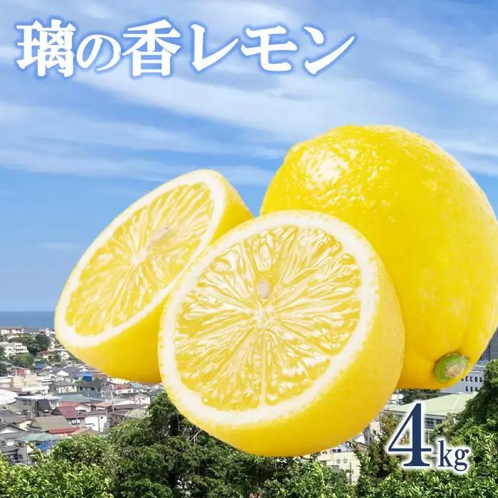 璃の香レモン(4kg)※11月中旬～順次発送 | 湯河原町 柑橘 旬 果物
