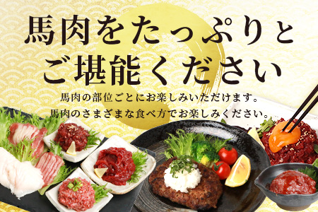 馬肉 バラエティー 6種 セット 約1.02kg ＜ 赤身切り落とし / コウネ / ネギトロ / ユッケ / フタエゴ / ハンバーグ / タレ付き ＞ 国産 031-0491