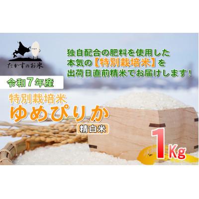 ふるさと納税 鷹栖町 【令和7年産】たかすのお米「特別栽培米 ゆめぴりか」1kg(精白米)
