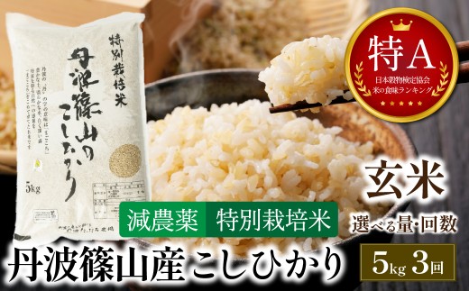 【定期便・新米8年産】玄米 特Aランク 特別栽培米 コシヒカリ5kg（全3回） 兵庫県 丹波篠山市 白米 100％単一原料米 産地直送米 おいしい お米 玄米 コシヒカリ ブランド おこめ 健康 送料無料 おすすめ 人気 口コミ