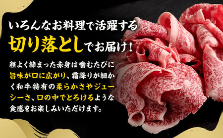 黒毛和牛 牛肉切り落とし 600g 300g×2P《30日以内に出荷予定(土日祝除く) 》