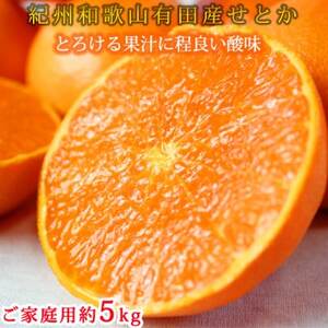 【2026年2月上旬頃より発送】ご家庭用訳あり　紀州和歌山産　せとか　約5kg【1292213】