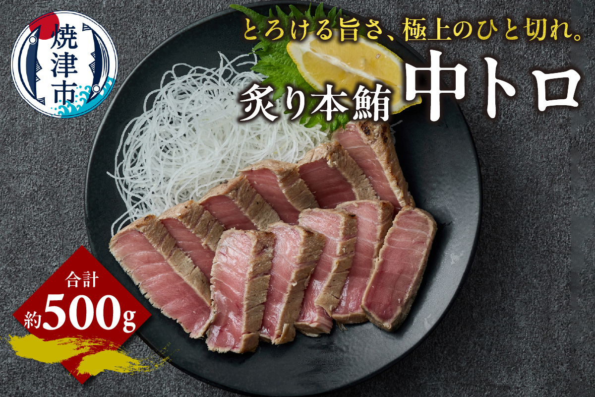 a15-678　炙り 本鮪 中トロ 約500g