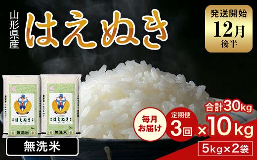 FYN1-981 【3回定期便・12月後半発送】令和7年産 新米 山形県産 はえぬき 10kg 2025年 お米 米 米米 ごはん ご飯 白米 国産 ブランド米 節水 時短 冷めてもおいしい贈答 ギフト 家庭用 自宅用 お取り寄せ 食品 山形県 西川町 月山