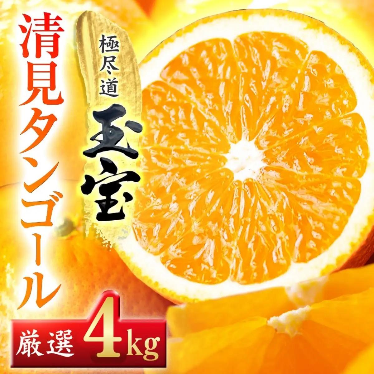 【先行受付】【愛媛名産】玉宝清見タンゴール　4kg【C64-34】【1510844】 YWTY023