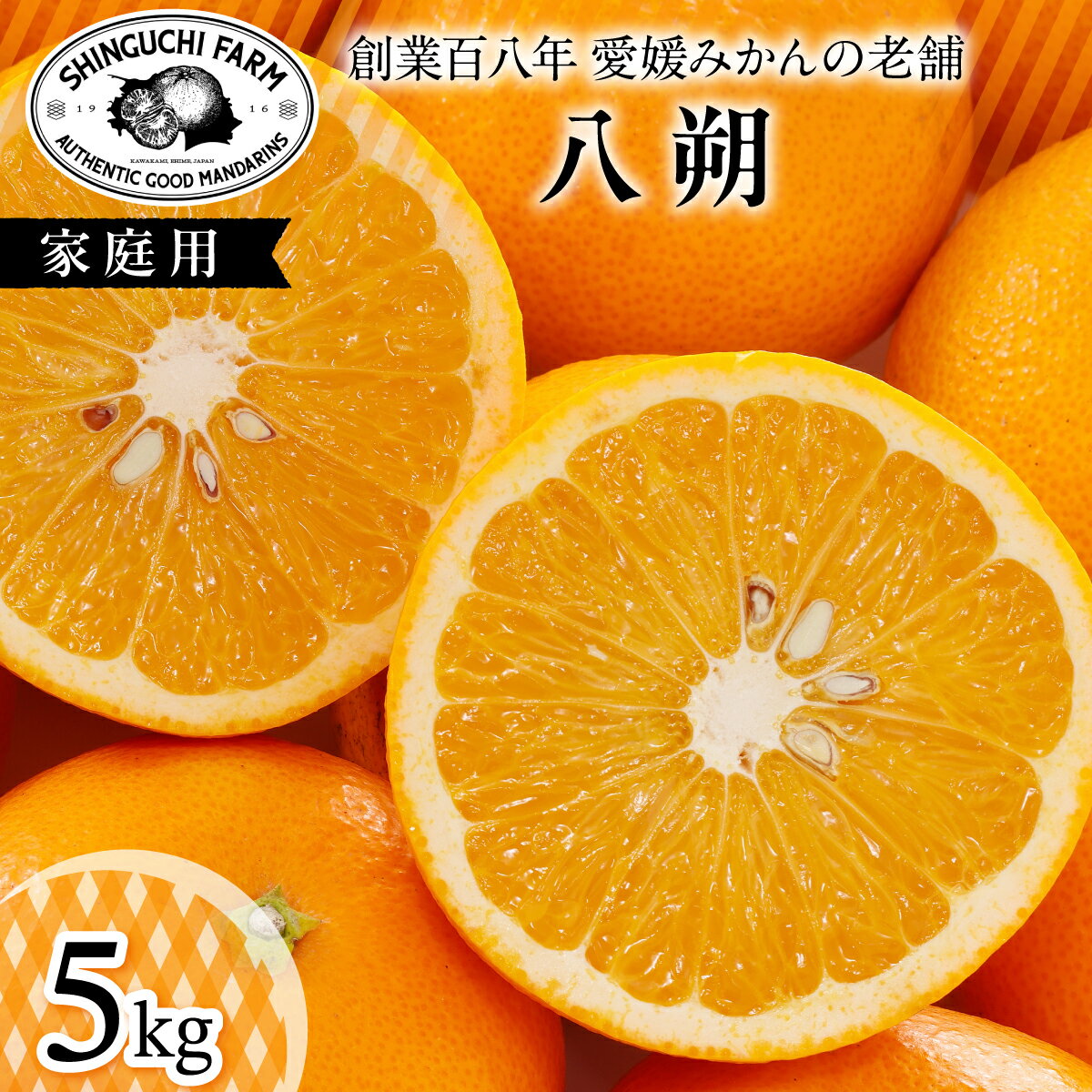 【ふるさと納税】【大人の味わい】八朔 5kg『さっぱりとした甘みとほろ苦さ』【C70-28】_【1470659】