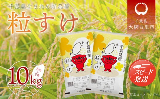 【最短2～7営業日出荷】令和7年産 千葉県産「粒すけ」10kg（5kg×2袋） お米 10kg 千葉県産 大網白里市 粒すけ 米 精米 こめ 送料無料 A006