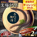 【ふるさと納税】 数量限定 高レビュー 4.6以上 うなぎの柳澤 うなぎ 長蒲焼 2尾 《 2週間以内発送予定 》 | ふるさと納税 うなぎ 高級 ウナギ 鰻 国産 蒲焼 蒲焼き たれ 鹿児島 大隅 大崎町 ふるさと 人気 送料無料
