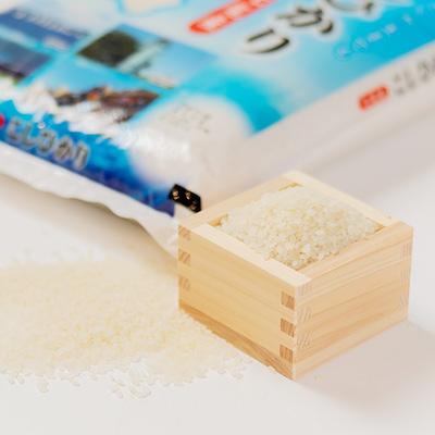 ふるさと納税 七尾市 【令和7年産】七尾産こしひかり10kg(精米5kg×2袋) |  | 01