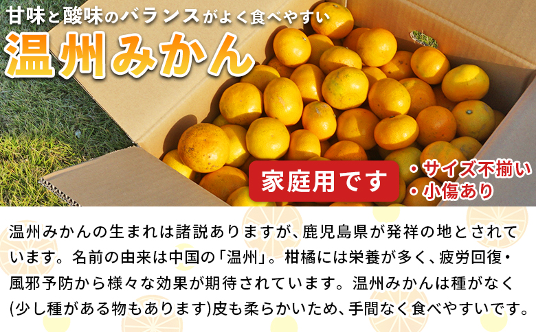 ＜愛媛県西予市産 温州みかん 家庭用 約5kg＞ 果物 くだもの うんしゅうみかん ウンシュウミカン ミカン 蜜柑 柑橘 フルーツ 自宅用 訳あり 旬 特産品 産地直送 段畑みかん株式会社 愛媛県 西