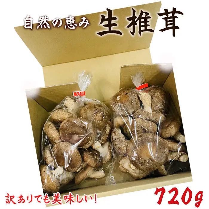 訳ありでも美味しい！自然の恵み生椎茸720g No.467