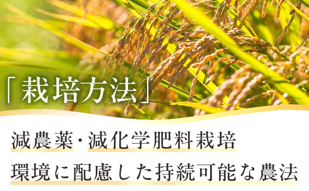 地元産米　両郷米　５ｋｇ×１袋